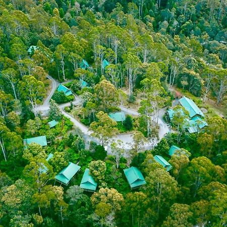 Lemonthyme Wilderness Retreat Hotel Moina Kültér fotó