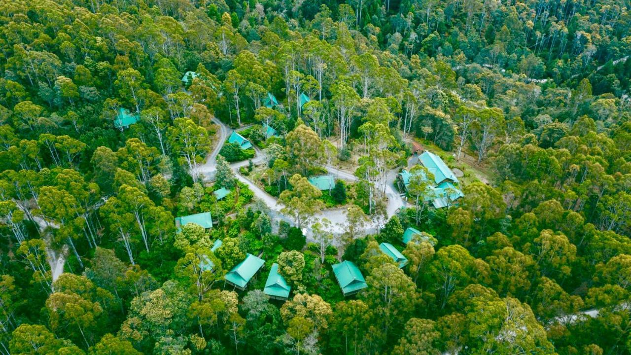 Lemonthyme Wilderness Retreat Hotel Moina Kültér fotó
